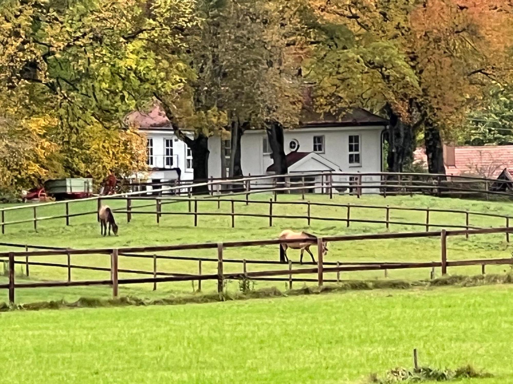 Herrenhaus - Starnberger See - Ammerland Мюнзинг Экстерьер фото